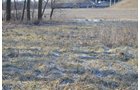 Property photo 15 - East Allen County - 55 Acre Land Auction
